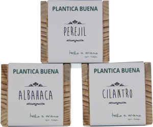 plantica-perejil-albahaca-cilantro-original