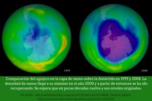 Fresanas Día Internacional de la Preservación de la Capa de Ozono